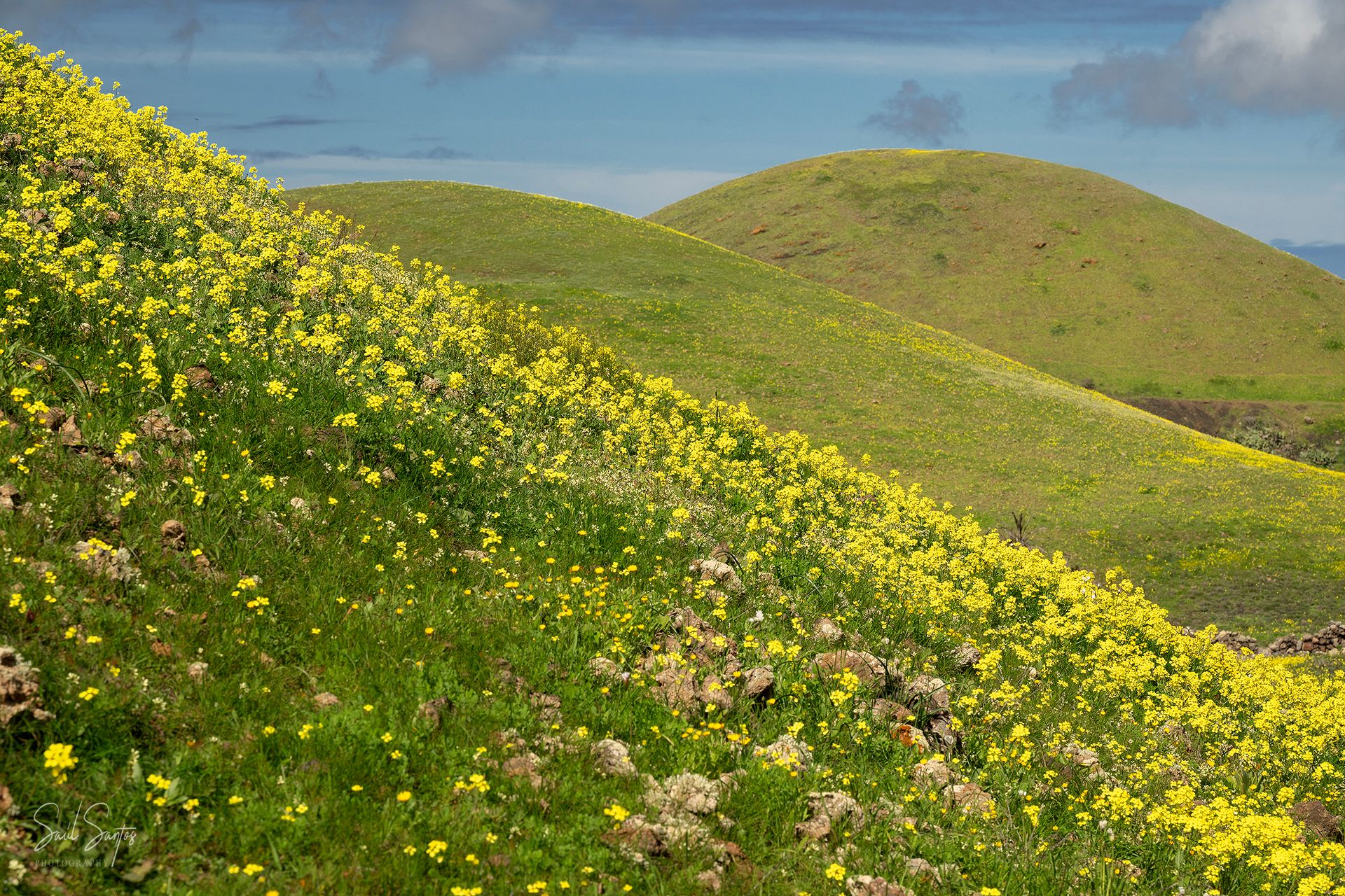 Because Healthy Skin