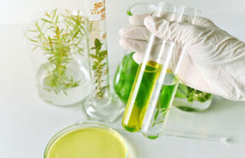 Ozolabs Laboratory - Science Leads Innovation